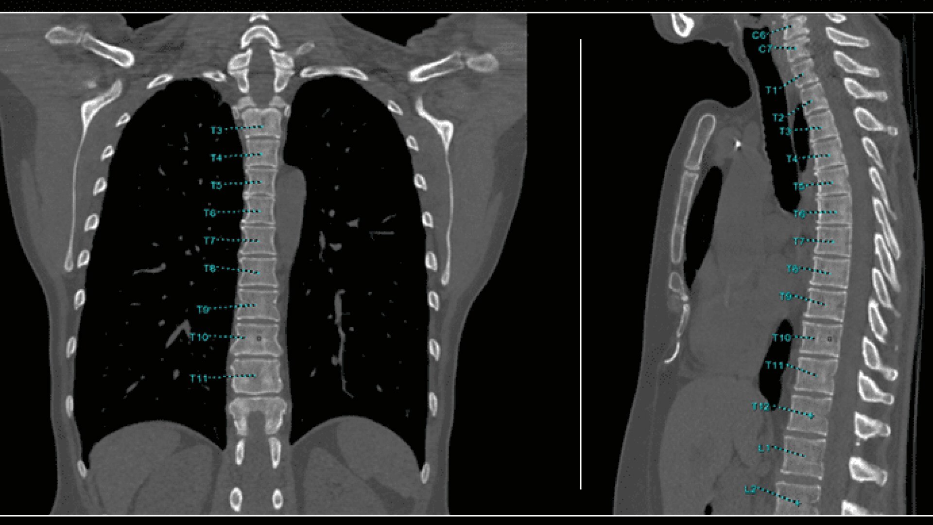 Product Media Carousel Image