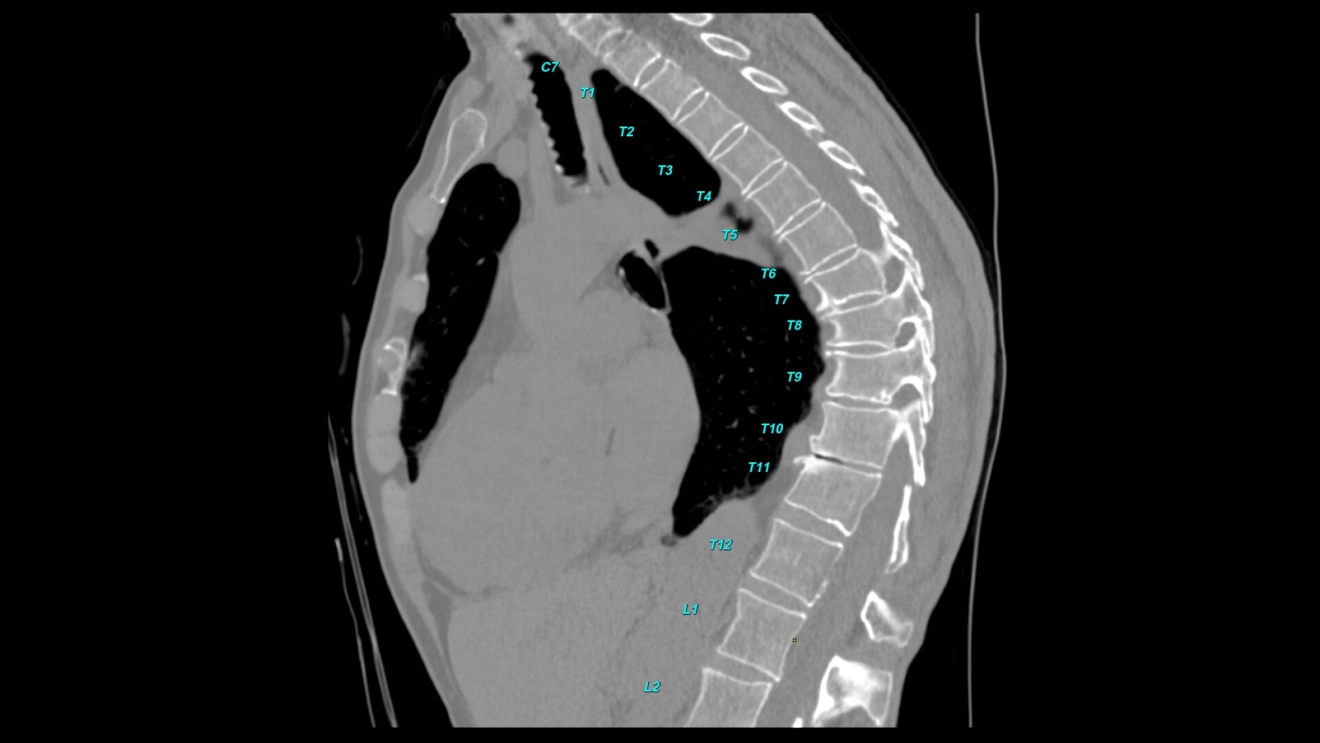 Product Media Carousel Image