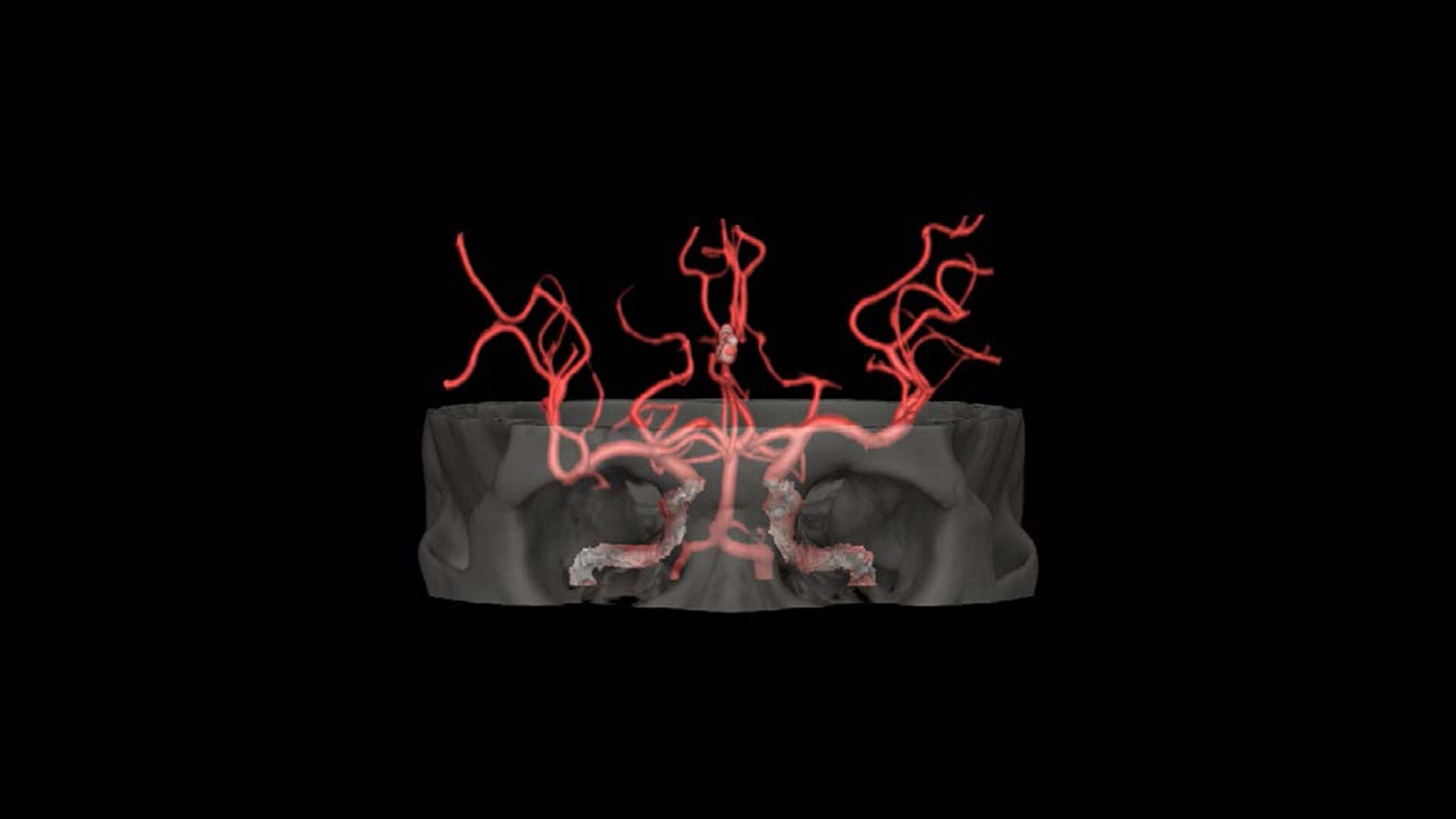 Product Media Carousel Image