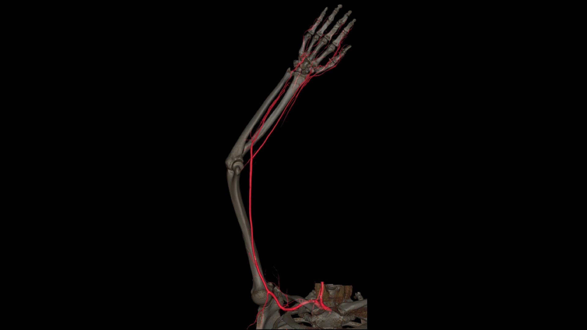 Product Media Carousel Image