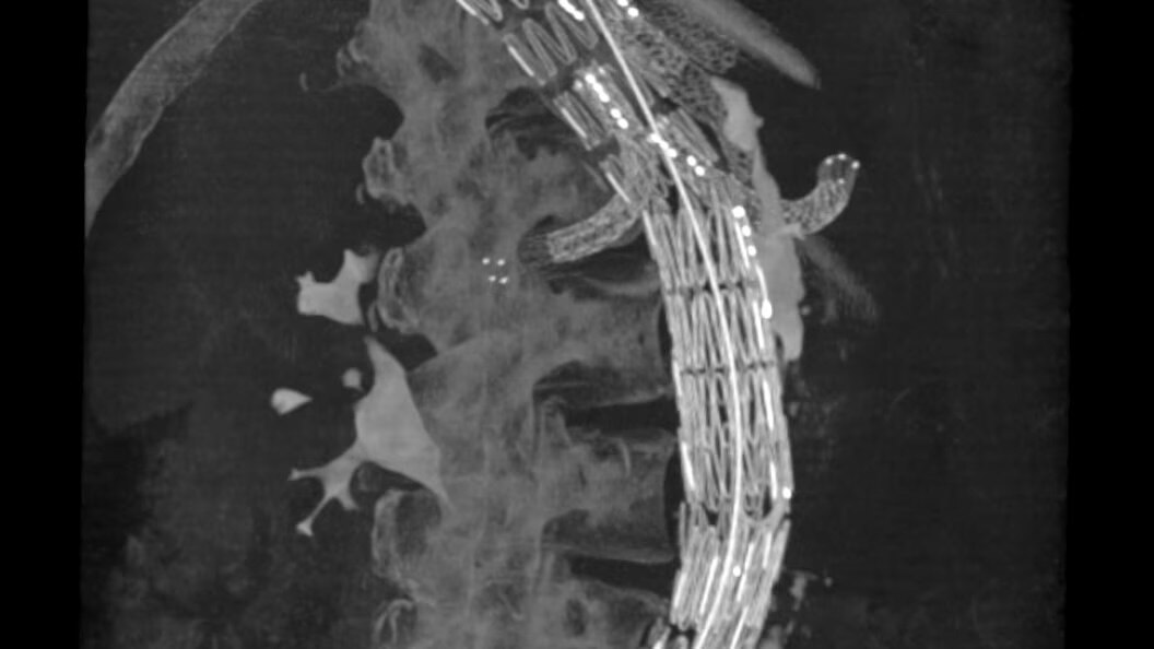 Product Media Carousel Image