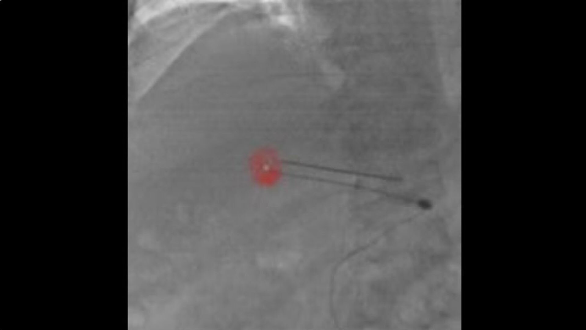 Product Media Carousel Image