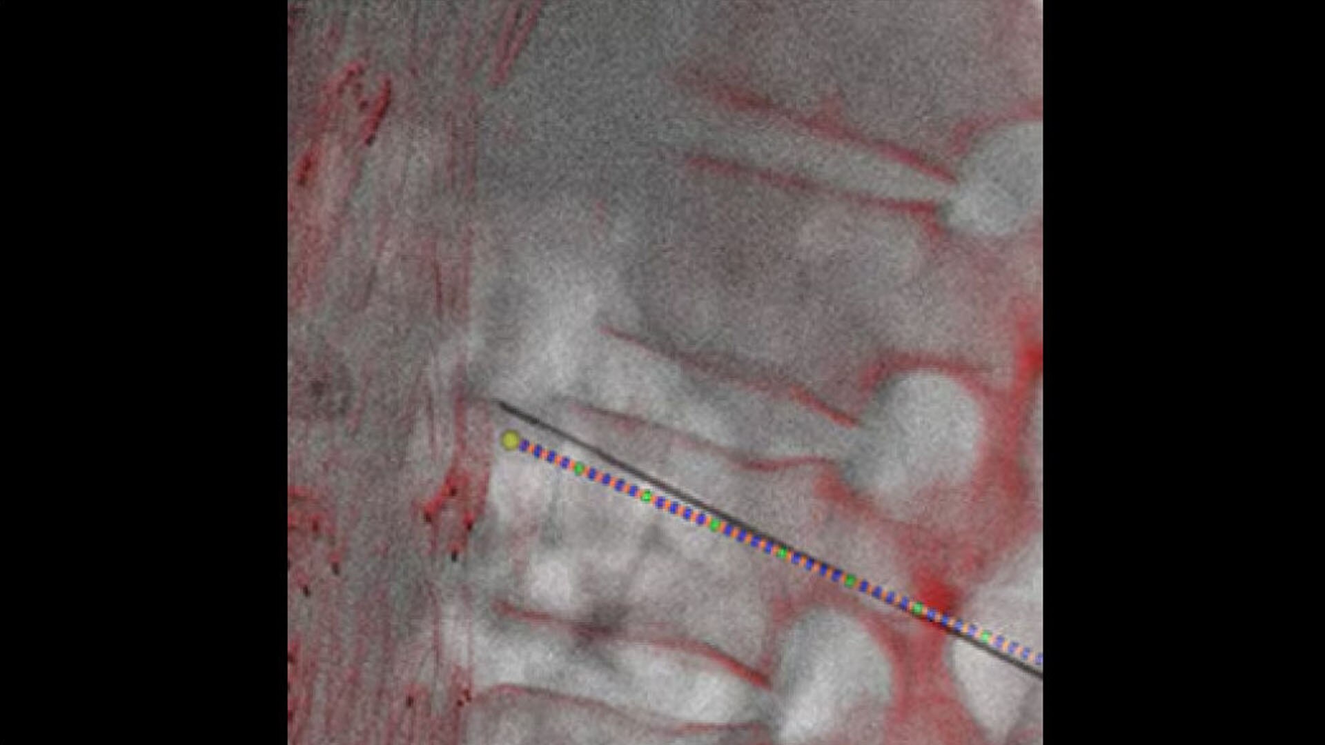 Product Media Carousel Image