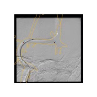 Product Media Carousel Image