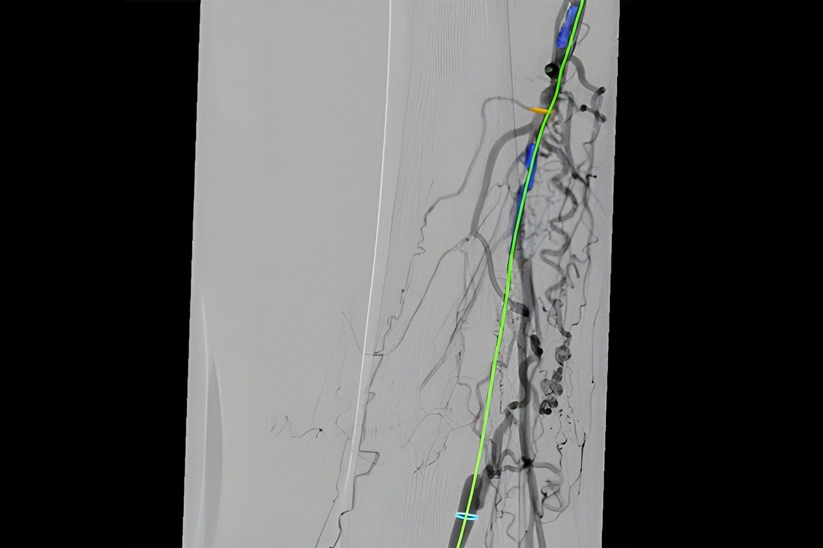 Product Media Carousel Image