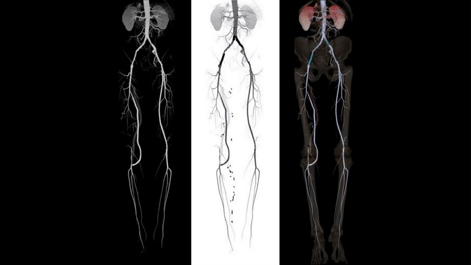 Product Media Carousel Image