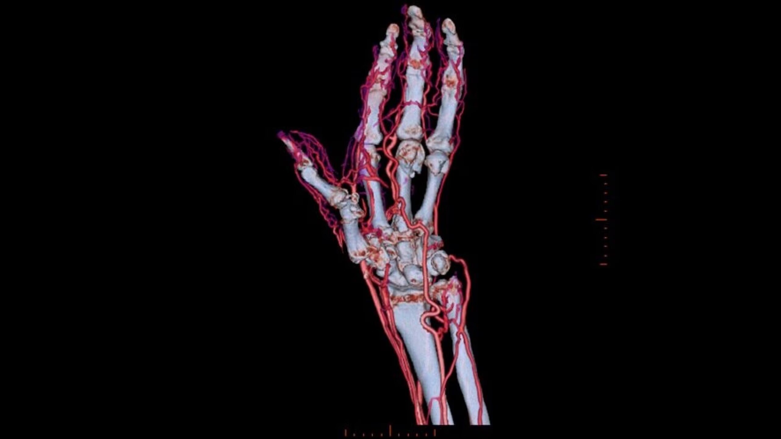 Product Media Carousel Image