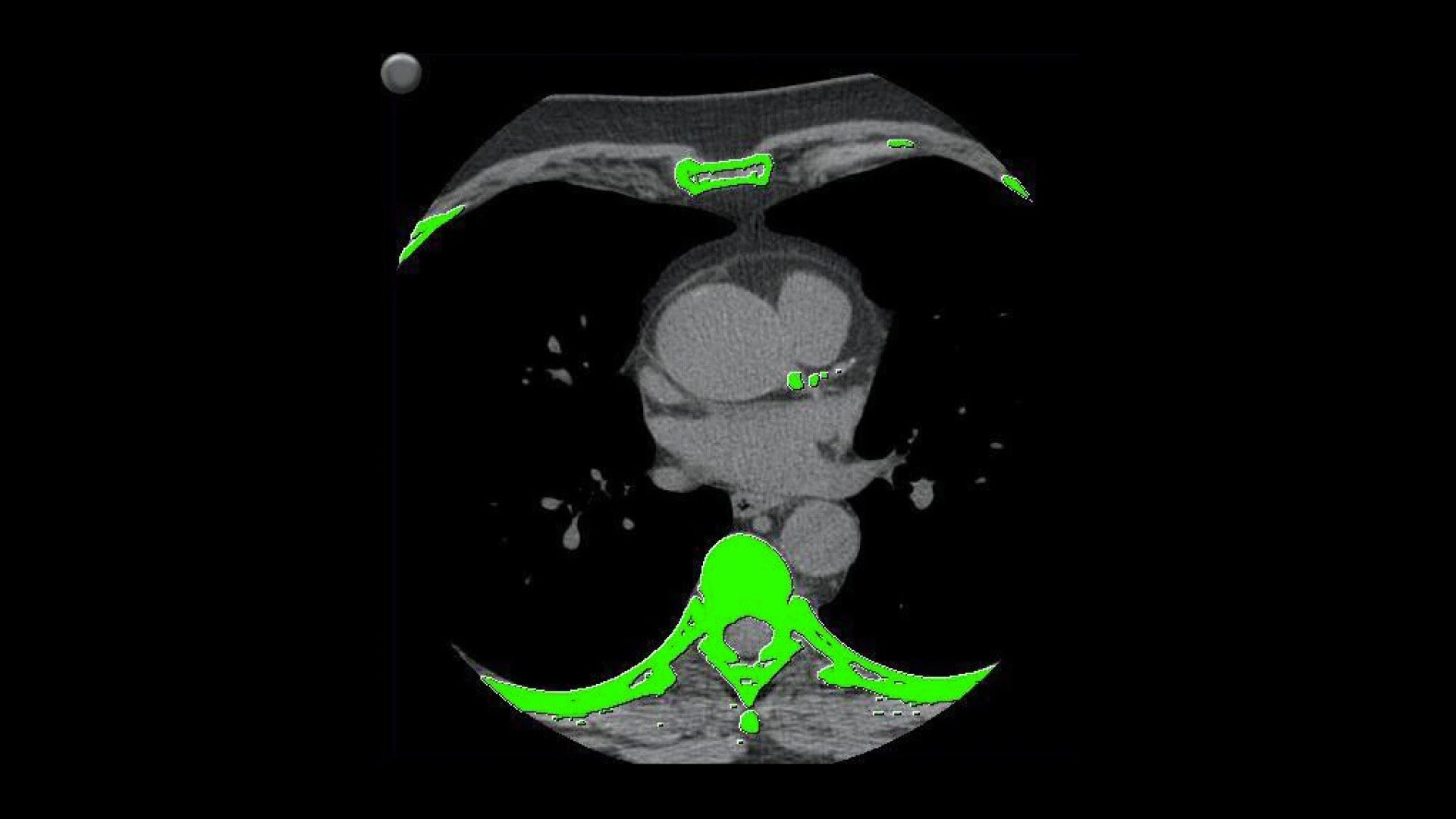 Product Media Carousel Image