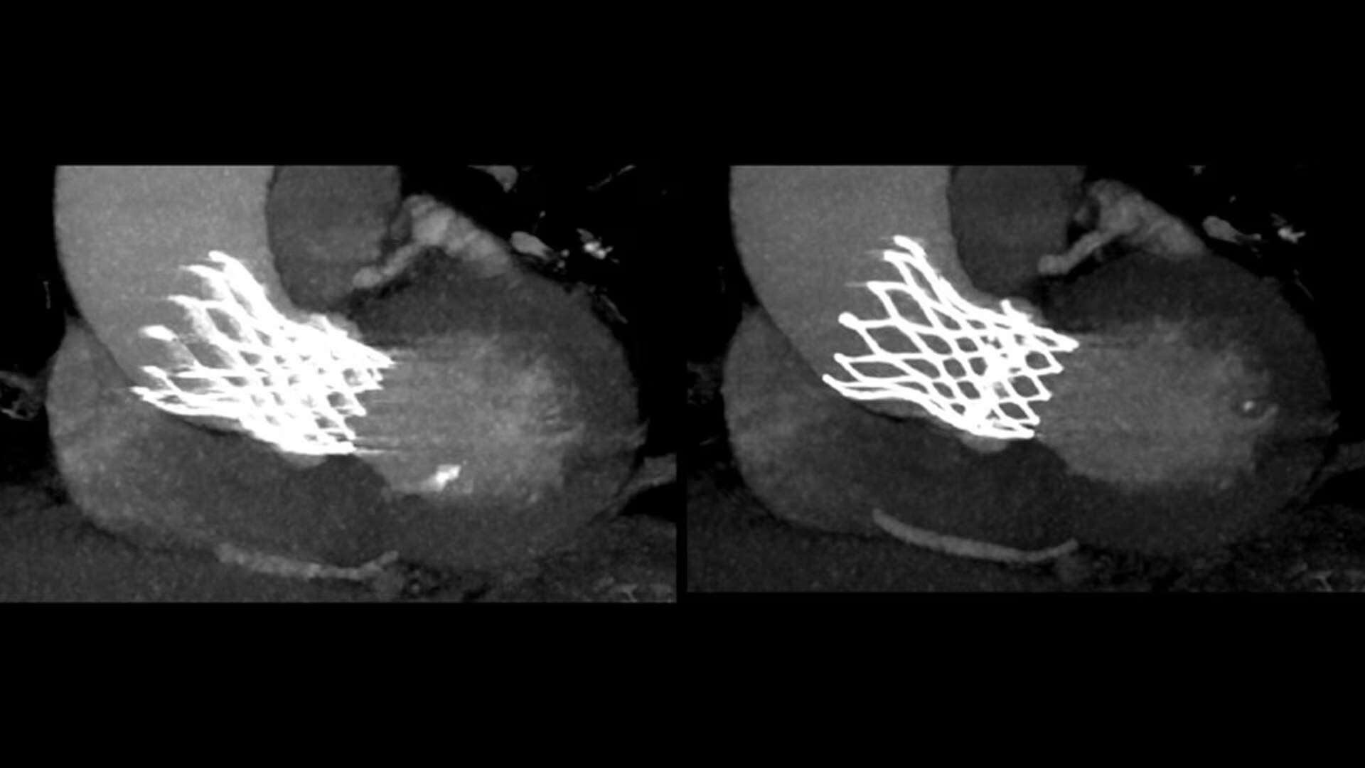 Product Media Carousel Image