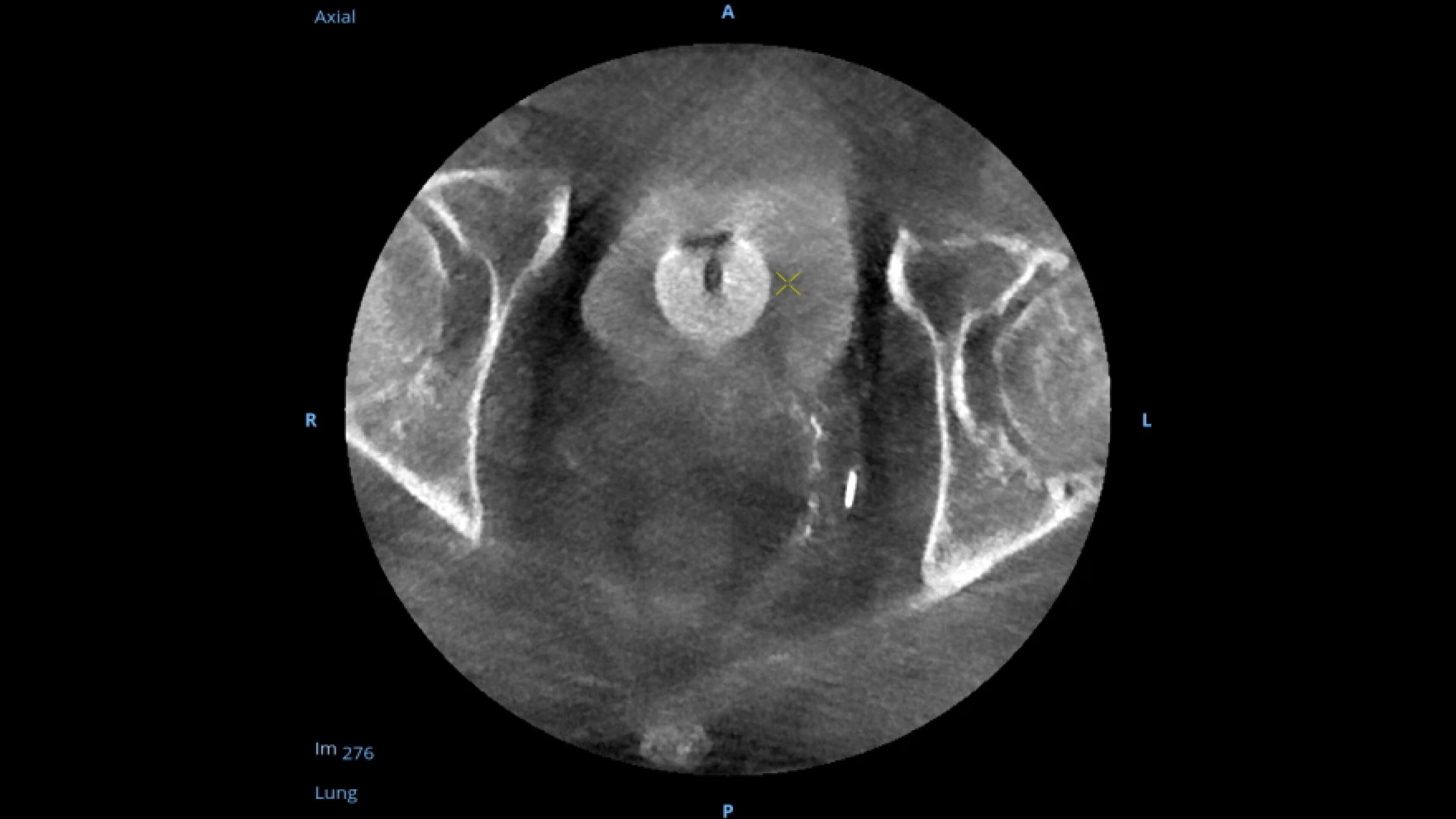 Product Media Carousel Image