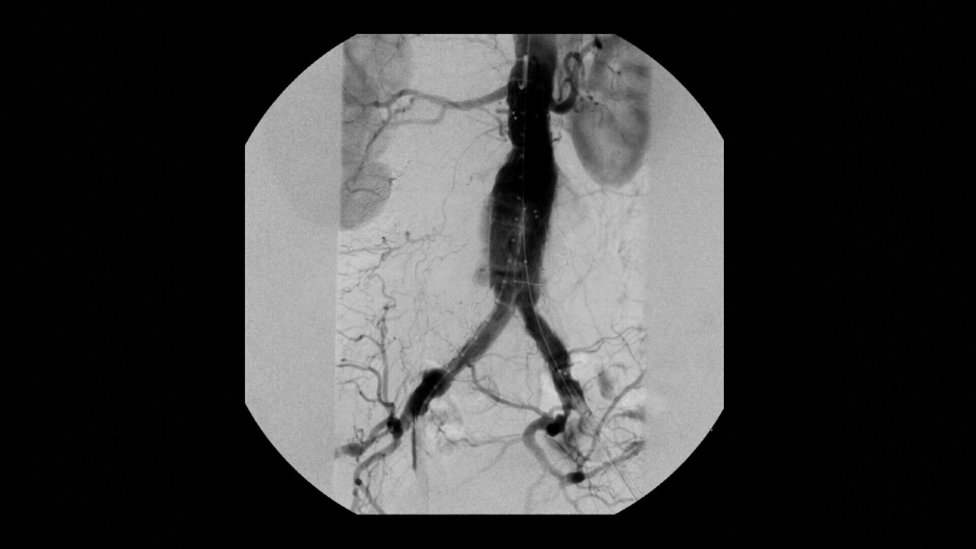 Product Media Carousel Image