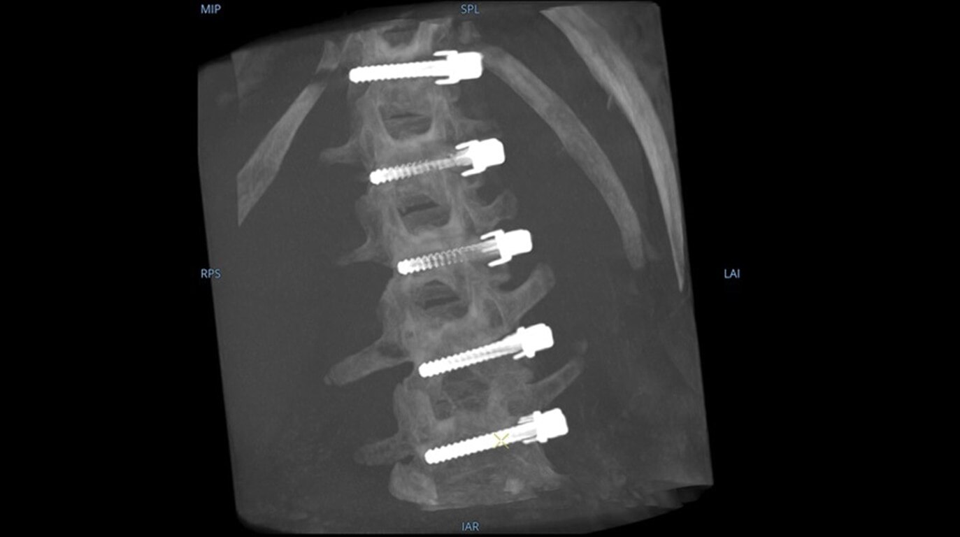 Product Media Carousel Image