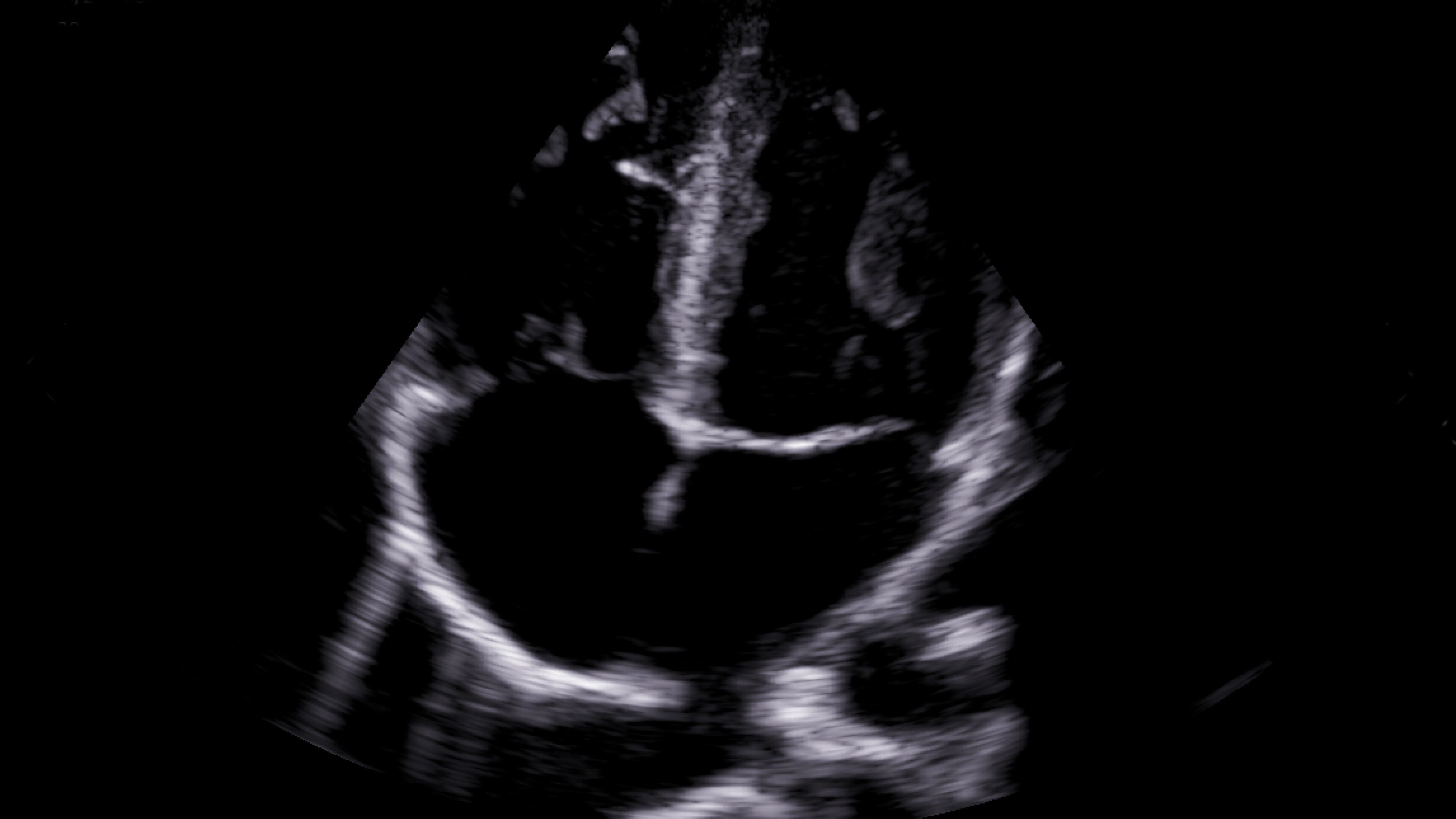 Product Media Carousel Image