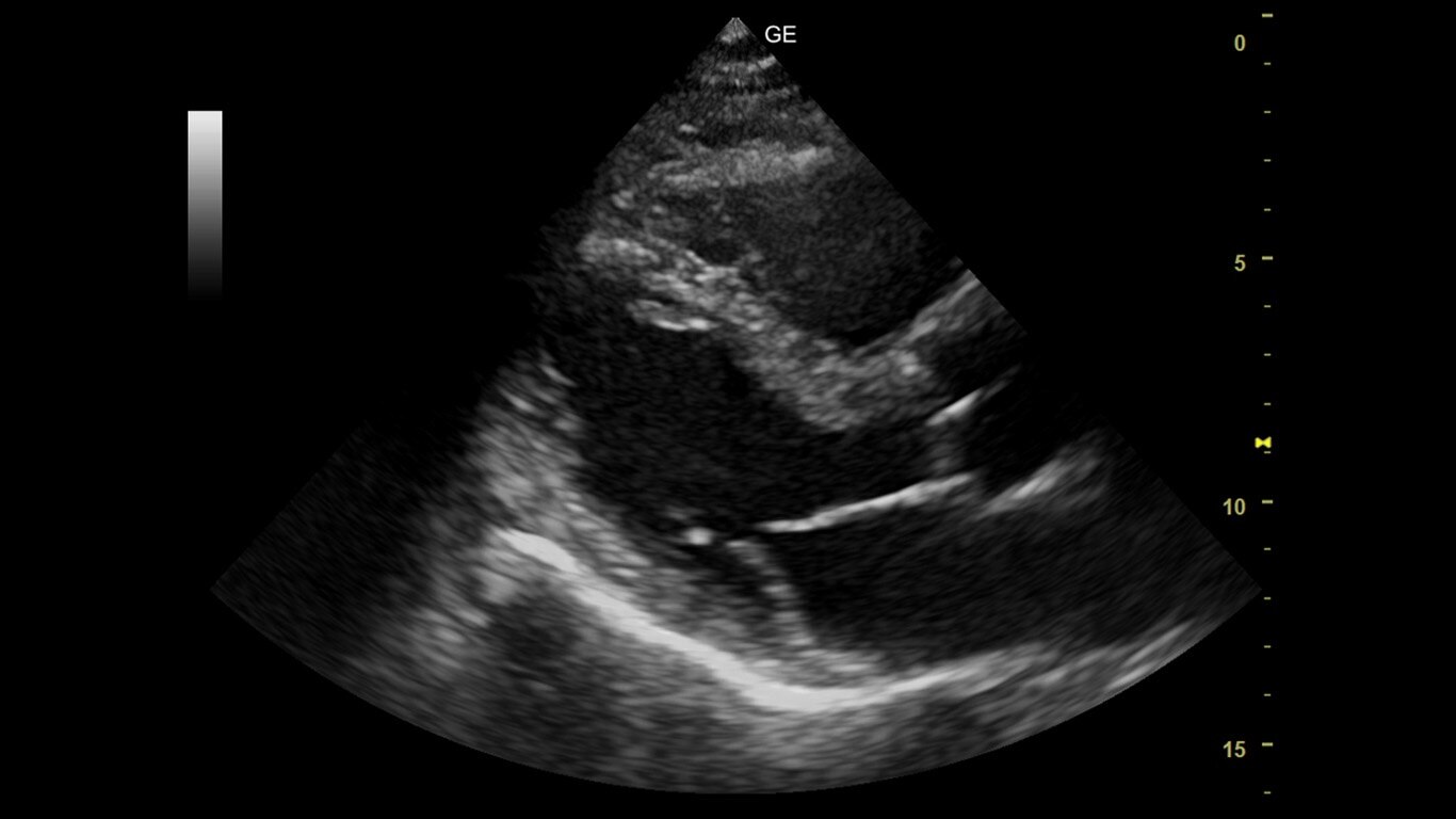 Product Media Carousel Image