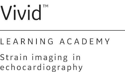 vivid-learning-academy-hero-vi-en