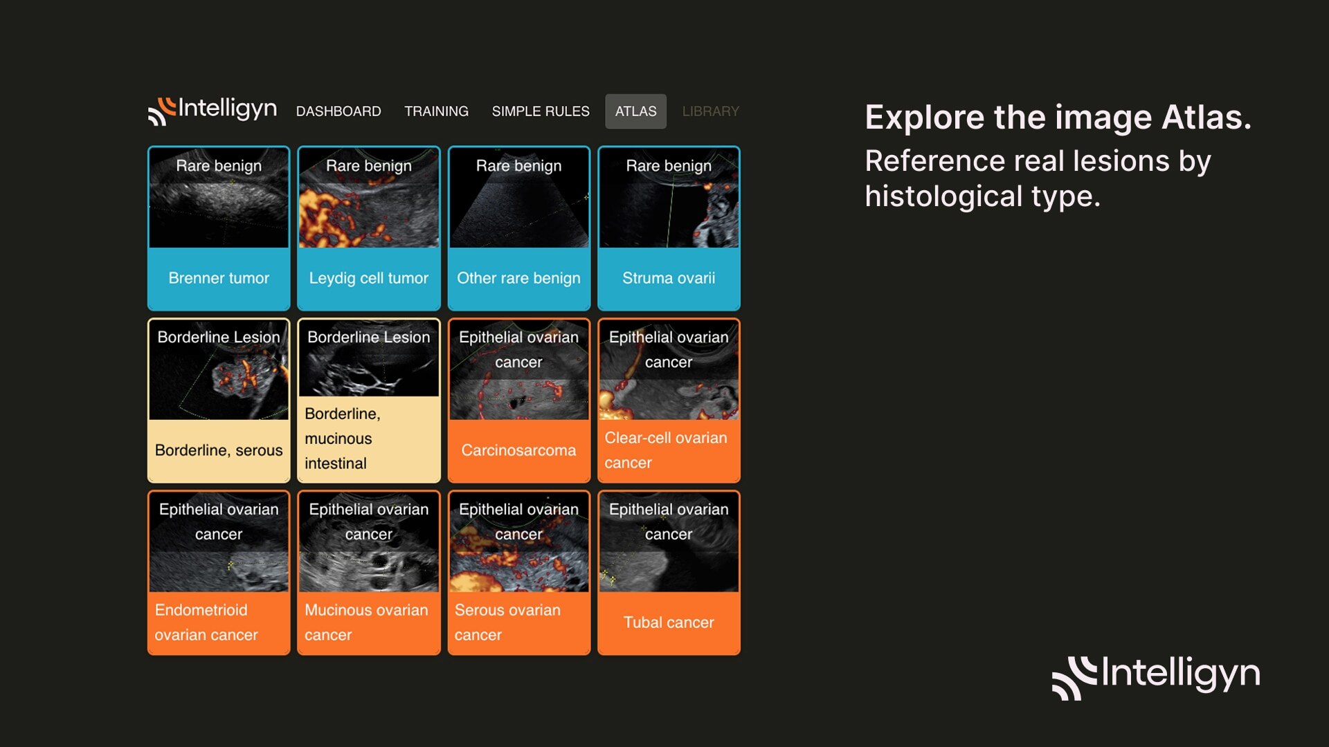 Product Media Carousel Image