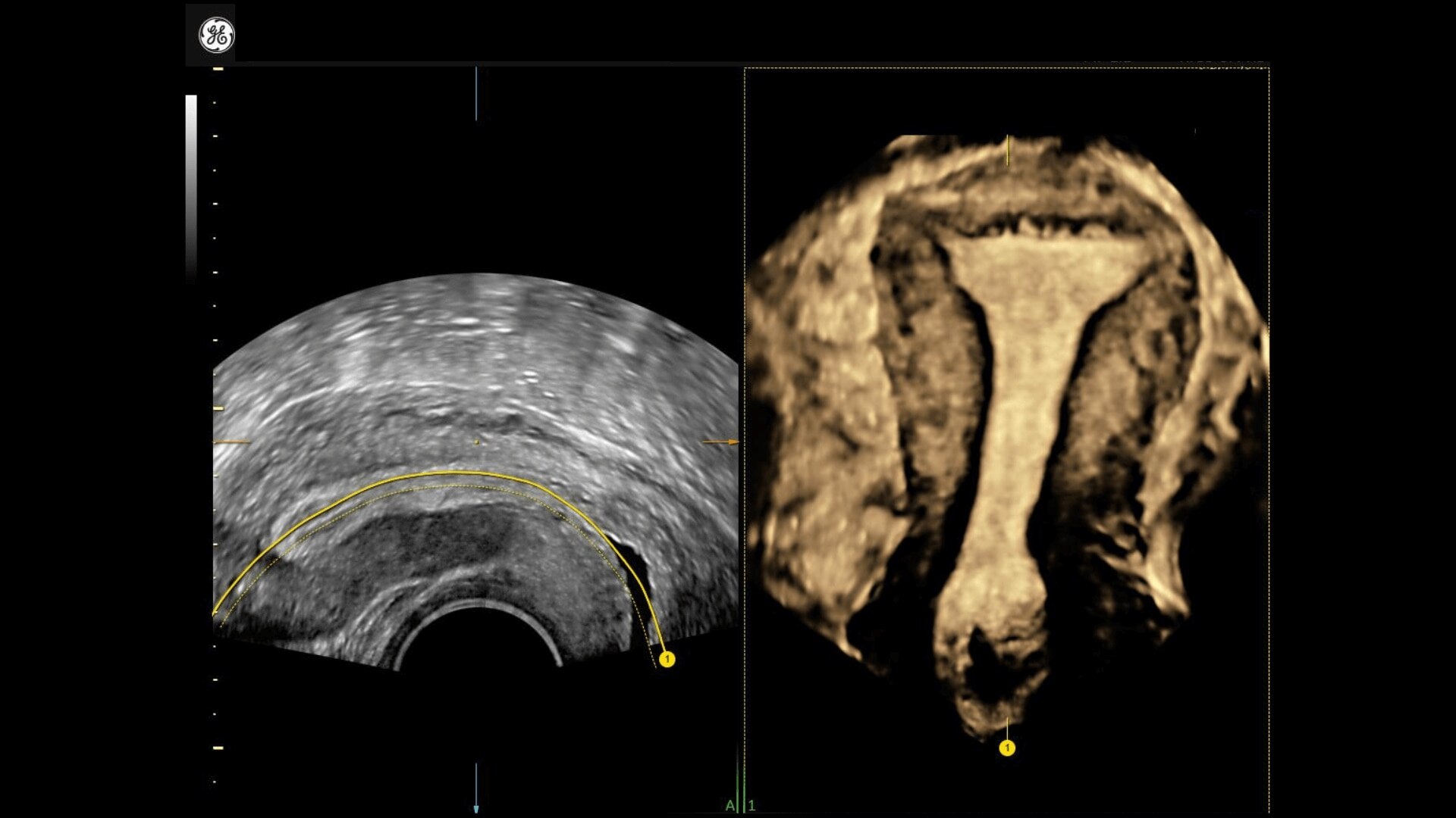 Product Media Carousel Image