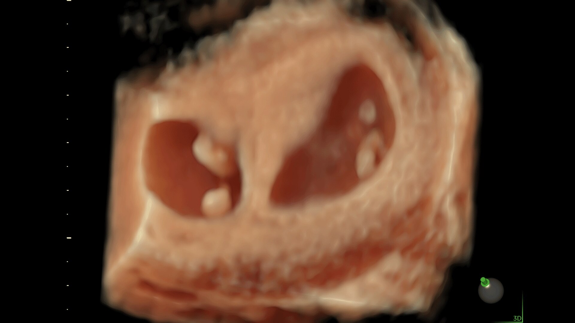 Product Media Carousel Image