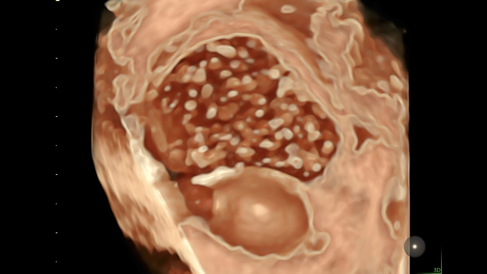 Product Media Carousel Image