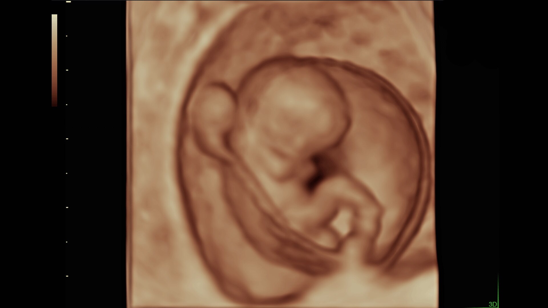 Product Media Carousel Image