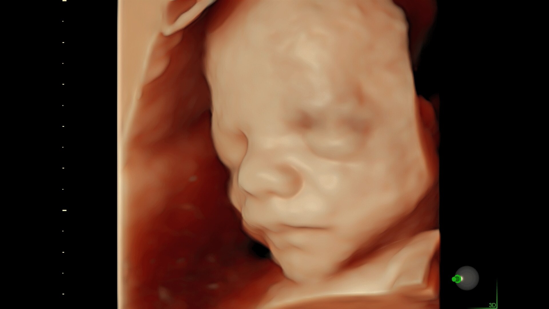 Product Media Carousel Image