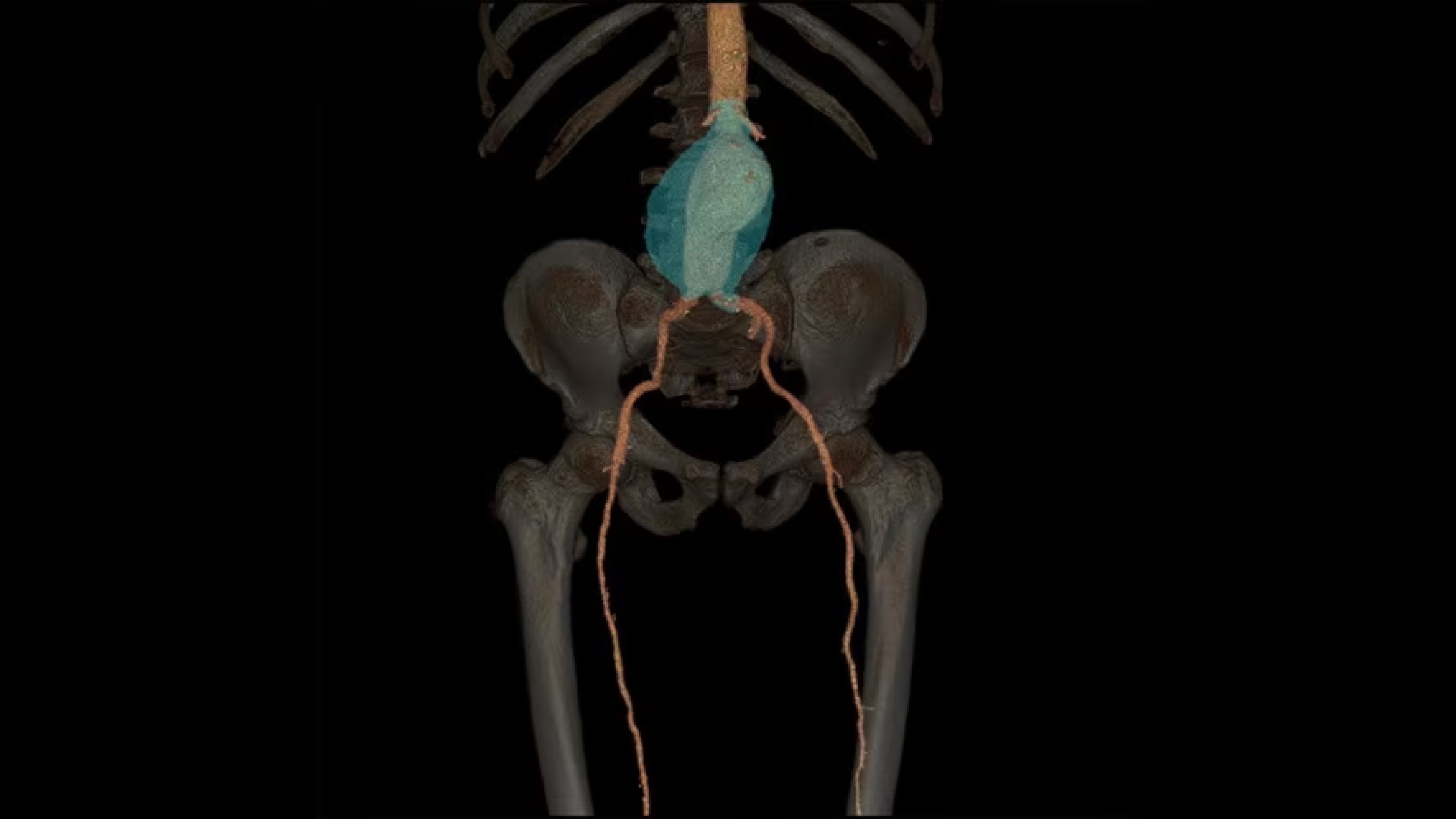 Product Media Carousel Image