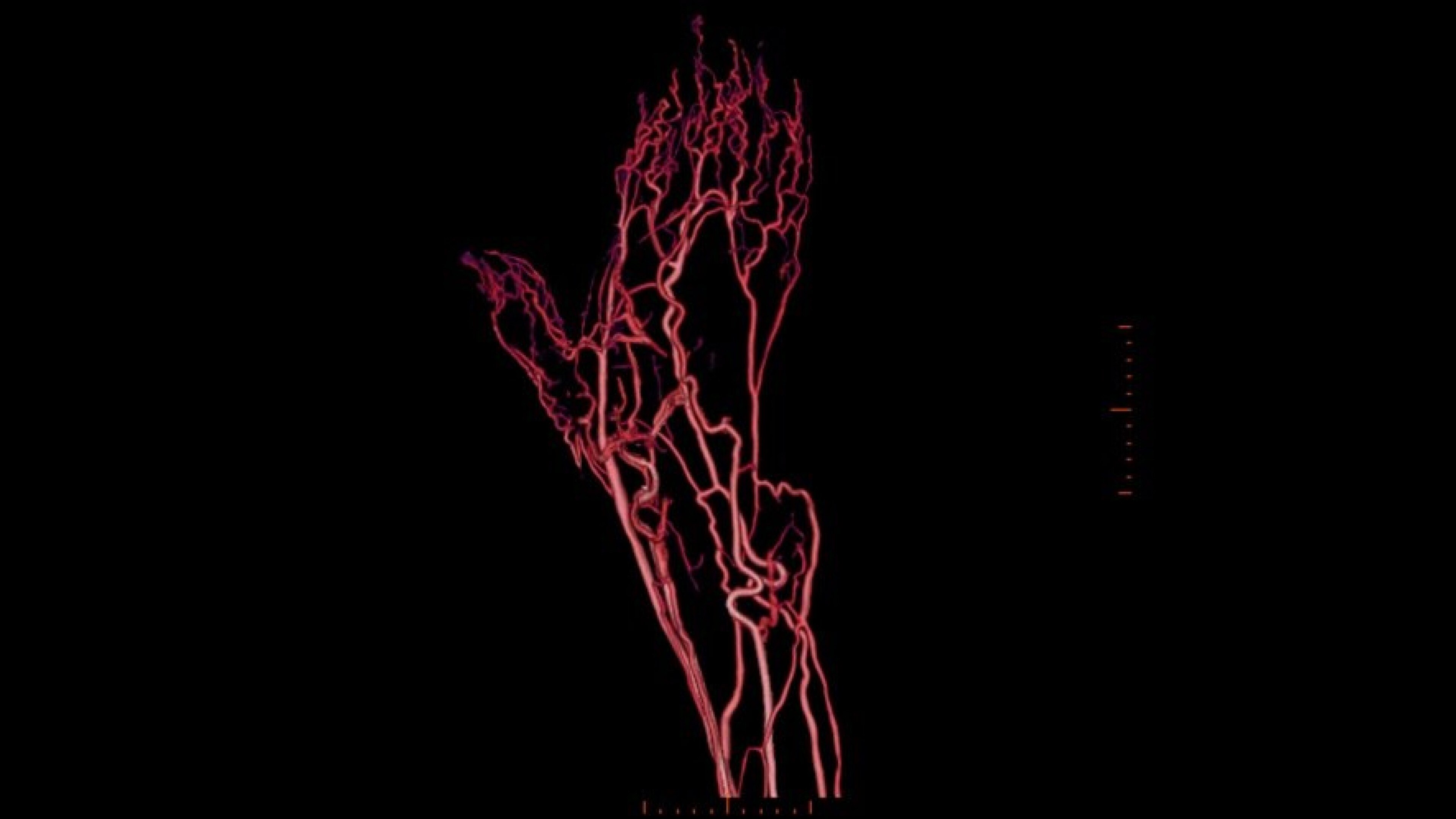 Product Media Carousel Image