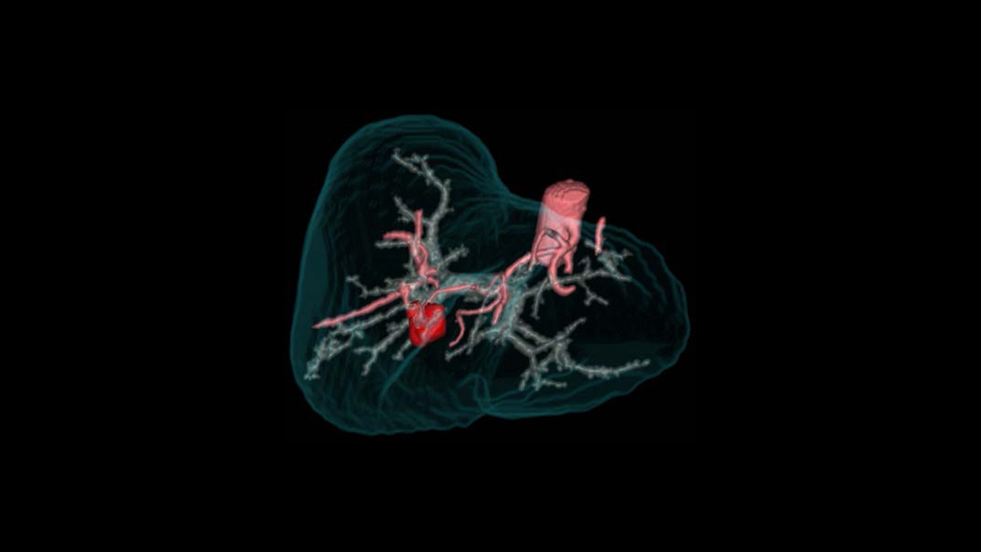 Product Media Carousel Image