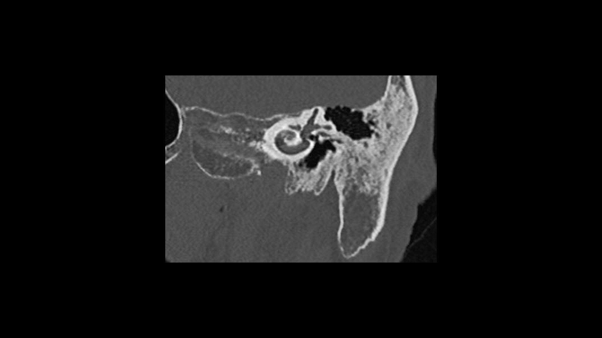 Product Media Carousel Image