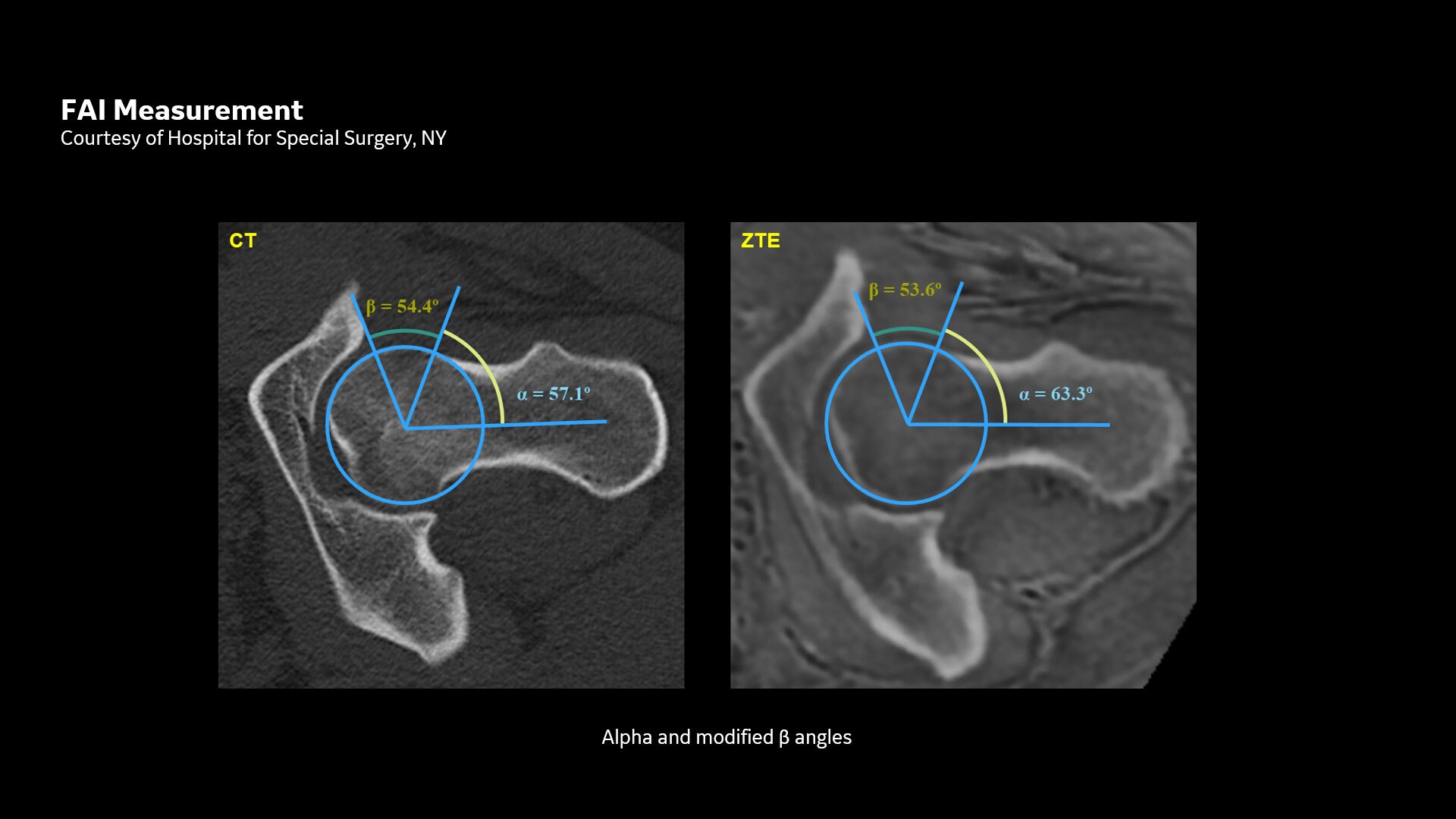 Product Media Carousel Image