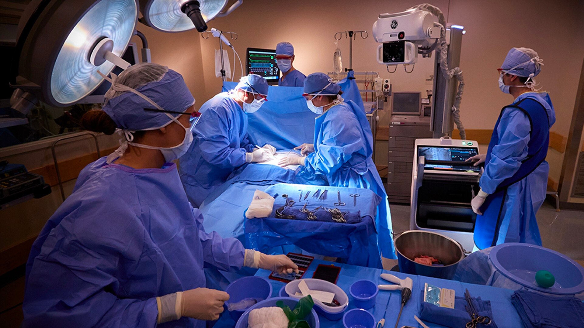 Product Media Carousel Image