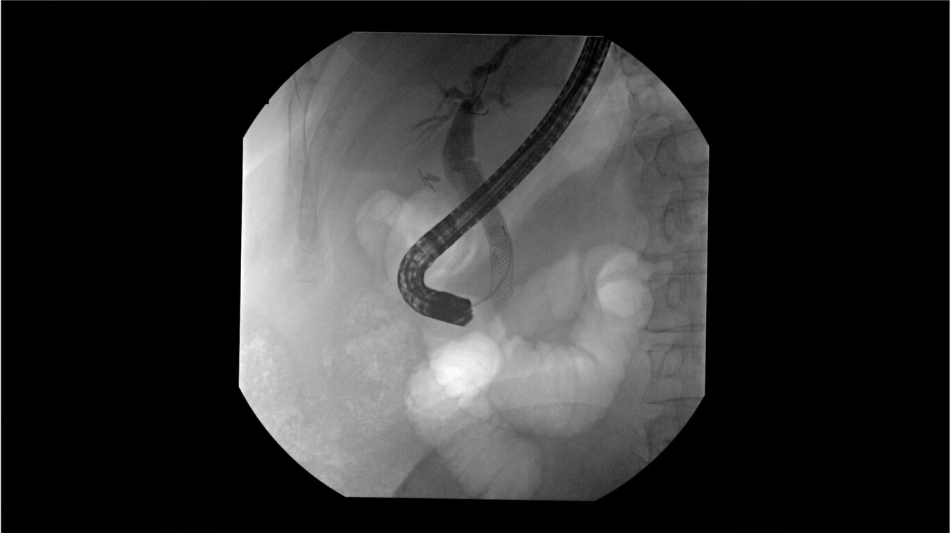 Product Media Carousel Image