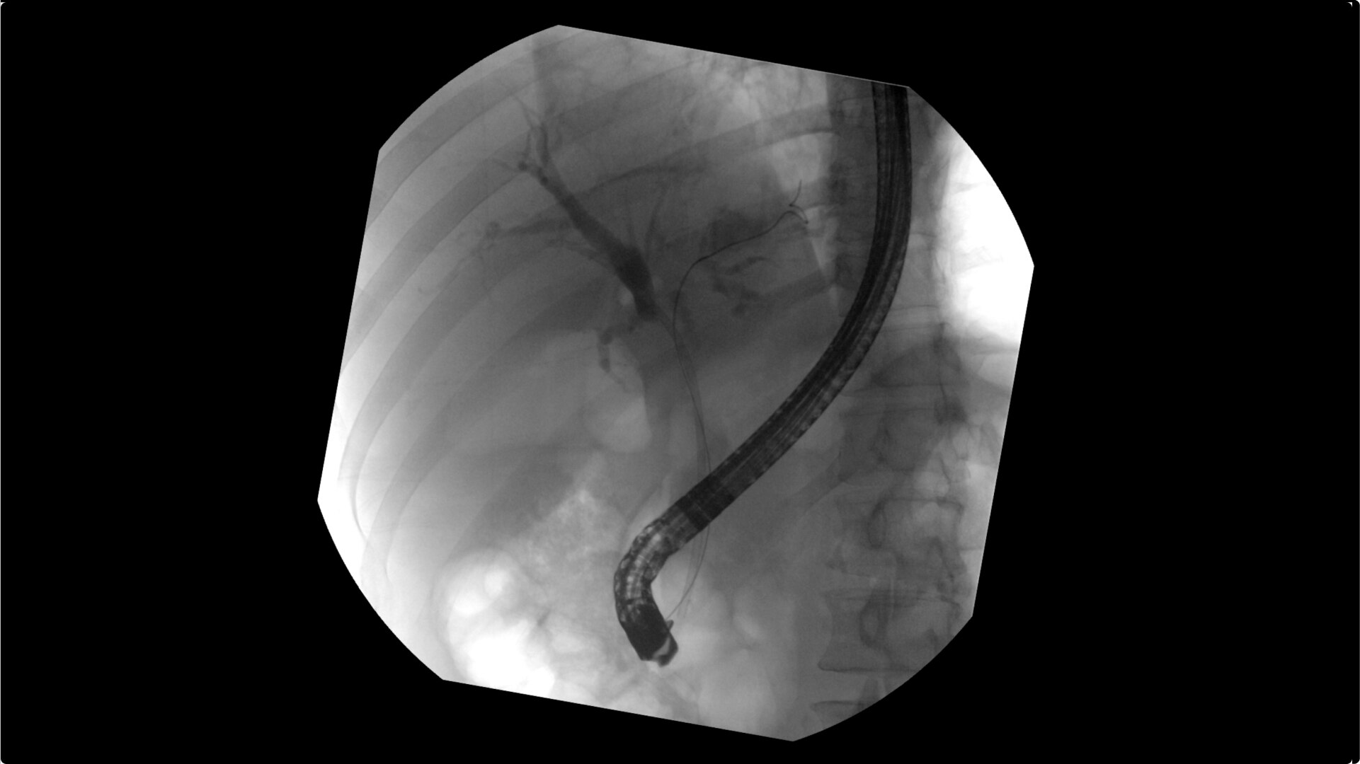 Product Media Carousel Image