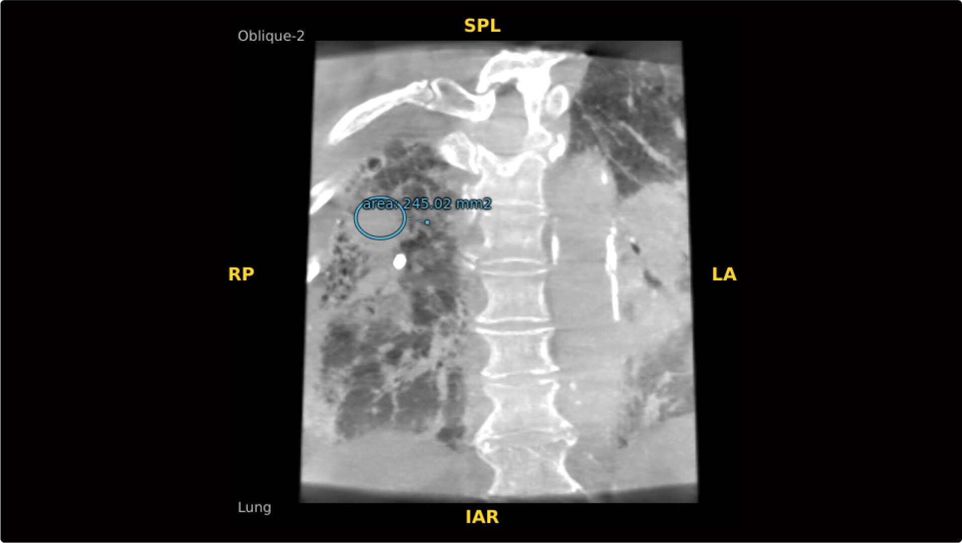Product Media Carousel Image
