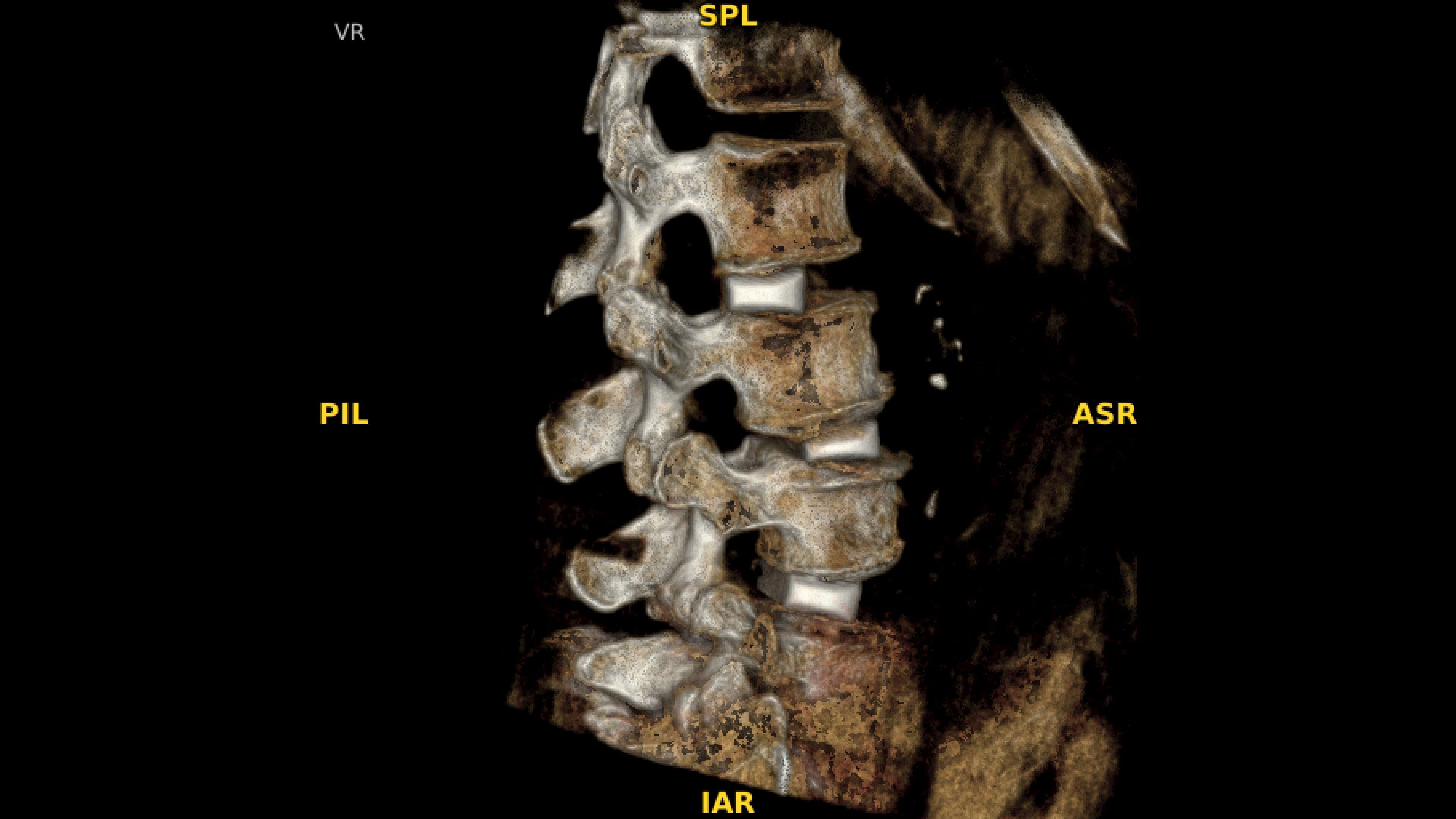 Product Media Carousel Image