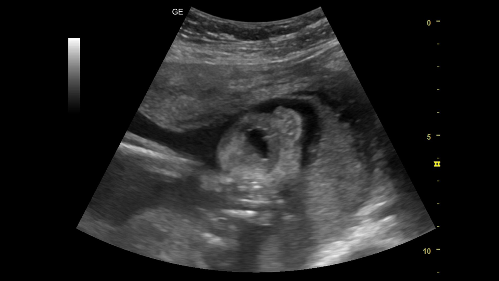 Product Media Carousel Image