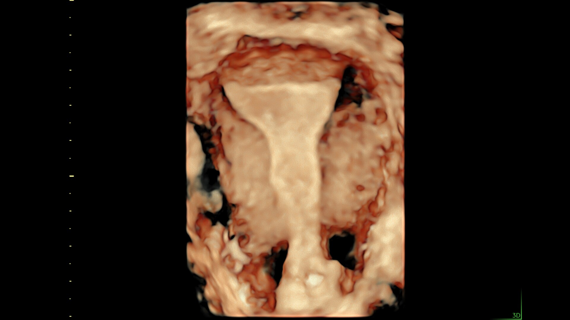 Product Media Carousel Image