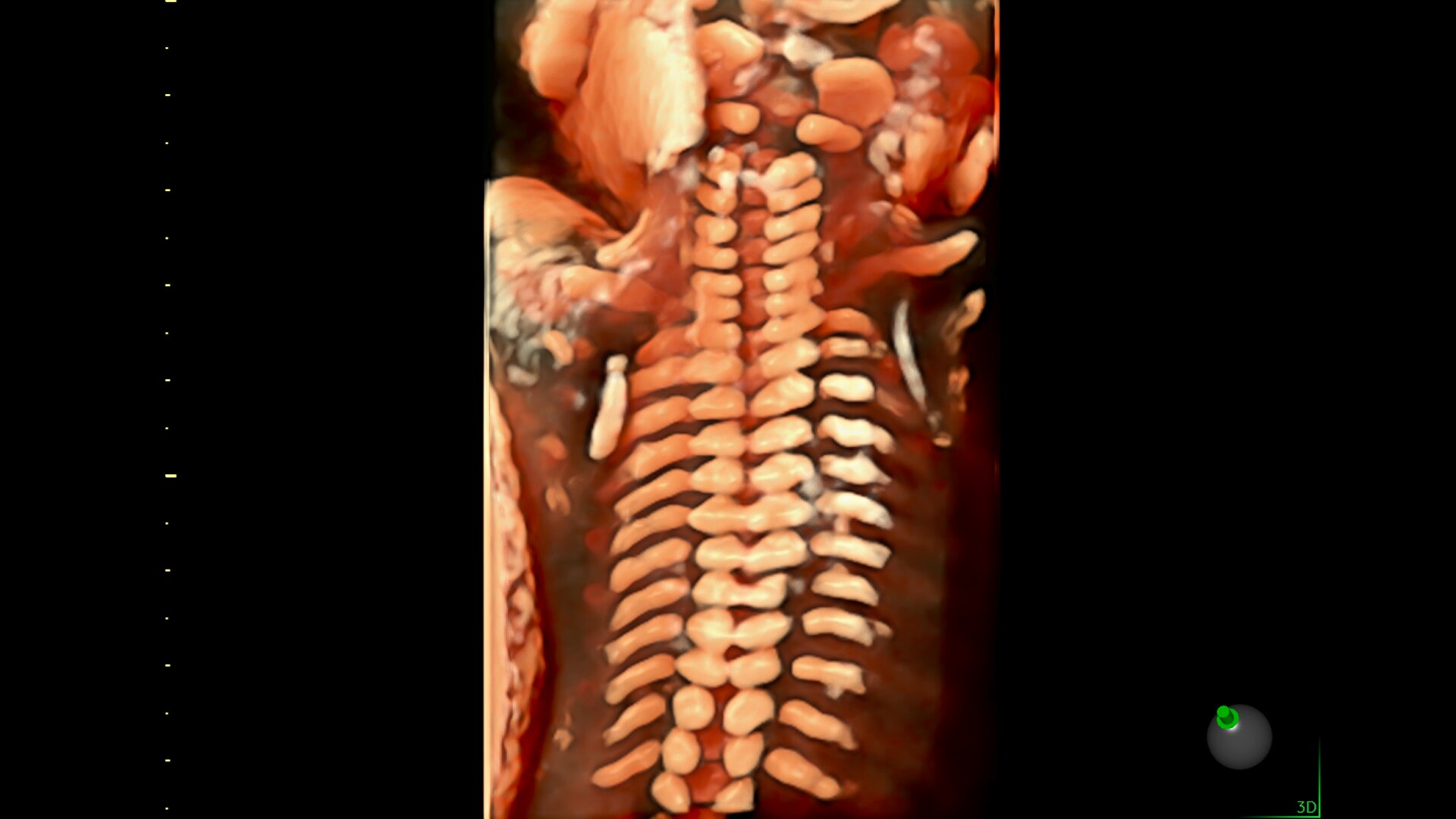 Product Media Carousel Image