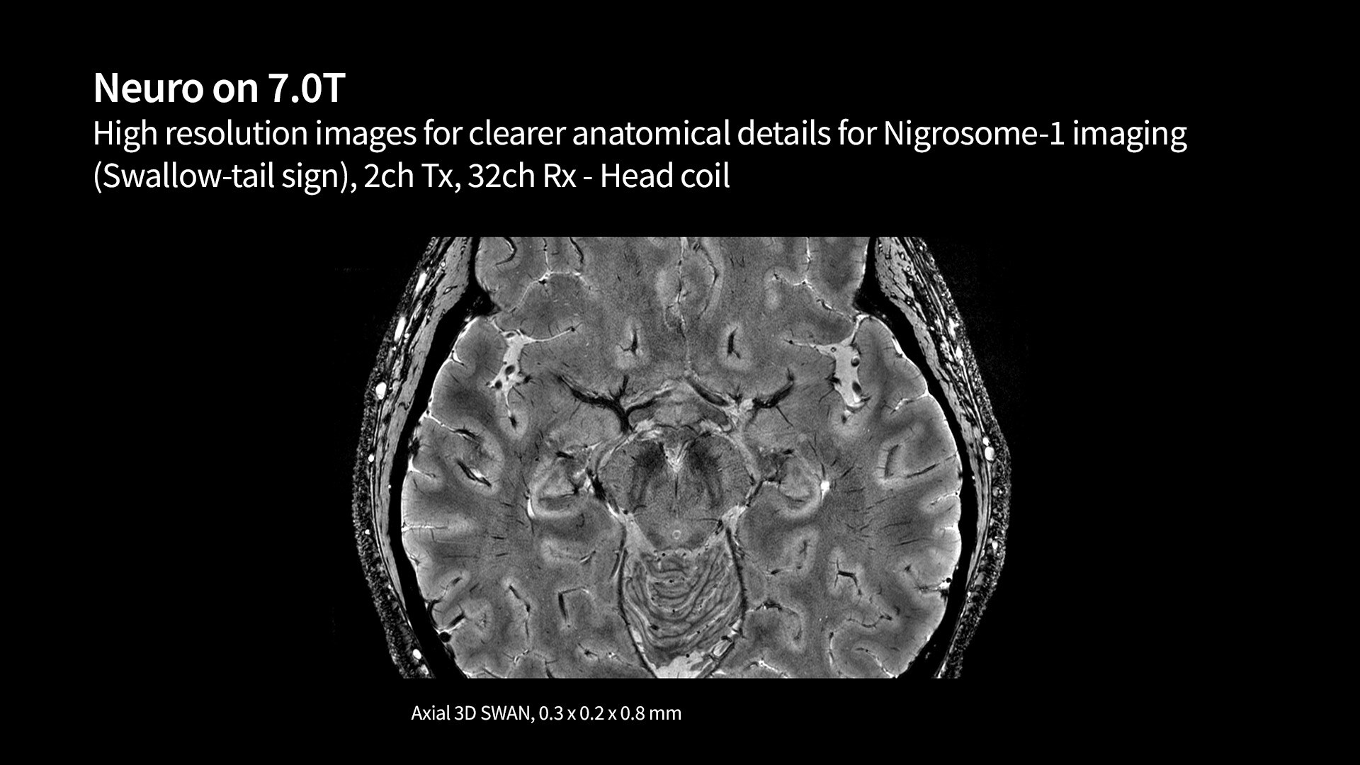Product Media Carousel Image