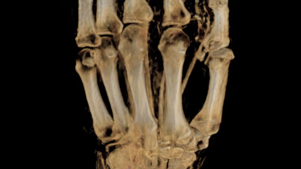 Product Switcher Carousel