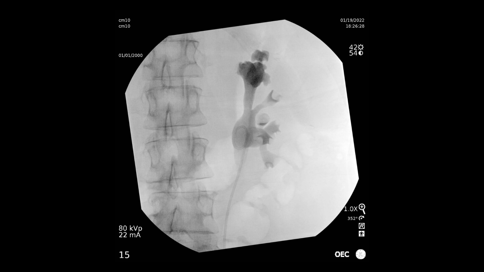 Product Media Carousel Image